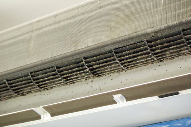 Best Air Duct Cleaning Cost  in Saugerties South, NY